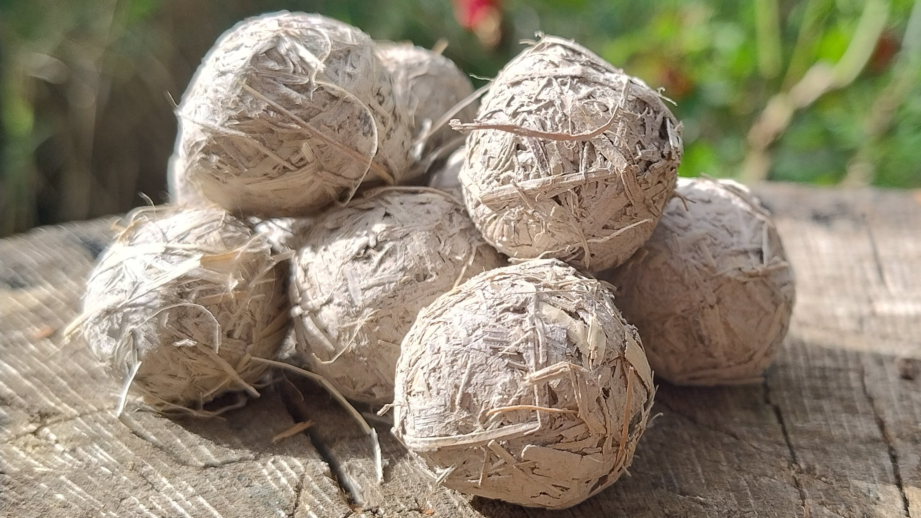 Australian Native Wildflower Seed Bomb Pack